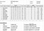 do accurate data entry, copy paste, PDF to word and excel